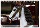 Thumbnail-8