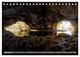 Thumbnail-11