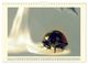 Thumbnail-14