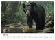 Thumbnail-10