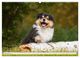 Thumbnail-14