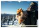 Thumbnail-14