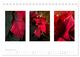 Thumbnail-14