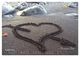 Thumbnail-10