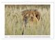 Thumbnail-9