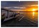 Thumbnail-14