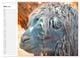 Thumbnail-8