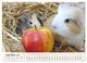 Thumbnail-14