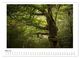 Thumbnail-10
