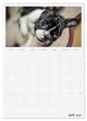 Thumbnail-8