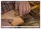 Thumbnail-13