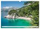 Thumbnail-9
