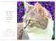 Thumbnail-9