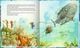 Thumbnail-2