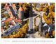 Thumbnail-10