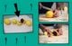 Thumbnail-11