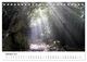 Thumbnail-12