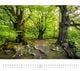 Thumbnail-8