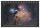 Thumbnail-10