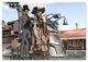 Thumbnail-11
