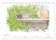Thumbnail-10