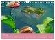 Thumbnail-11