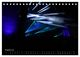 Thumbnail-10