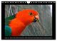 Thumbnail-12