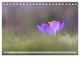 Thumbnail-9
