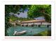 Thumbnail-10