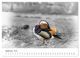 Thumbnail-10