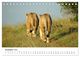 Thumbnail-14