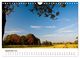 Thumbnail-11