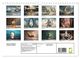 Thumbnail-7