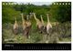 Thumbnail-12