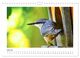 Thumbnail-9