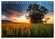 Thumbnail-9