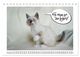Thumbnail-13