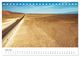 Thumbnail-11
