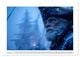 Thumbnail-13