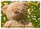 Thumbnail-11
