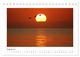 Thumbnail-10