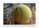 Thumbnail-14