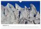 Thumbnail-11