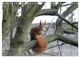 Thumbnail-8