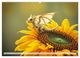 Thumbnail-10