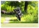 Thumbnail-8
