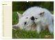 Thumbnail-9