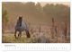 Thumbnail-14
