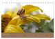 Thumbnail-11